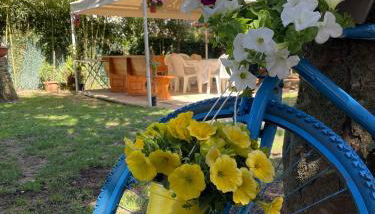 Appartamento in Villa con giardino vicino al mare - Foto 2, Garden