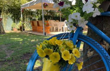 Appartamento in Villa con giardino vicino al mare - Foto 2