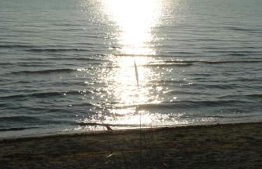 Finnhütte Amelie - Foto 13