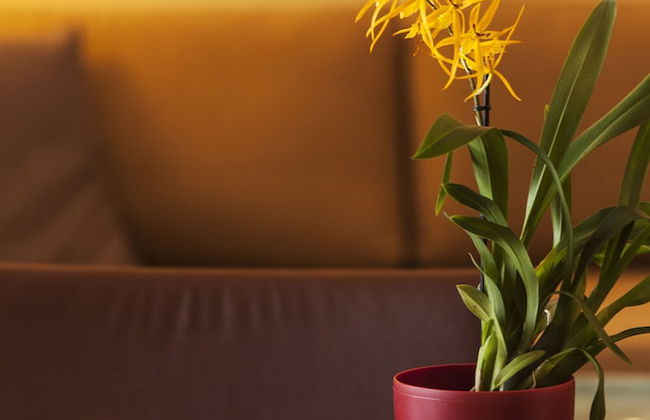 Krinos Suites Hotel - Photo 44