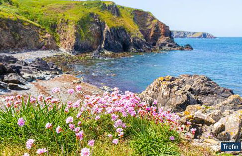 Llwyndyrys - Foto 36