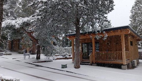 Jardín Las Secuoyas - Foto 2