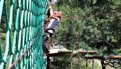 Maison des fleurs d'Ajoncs - Foto 4