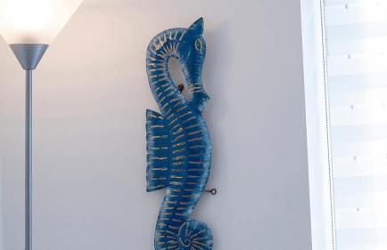Seahorses - Photo 11