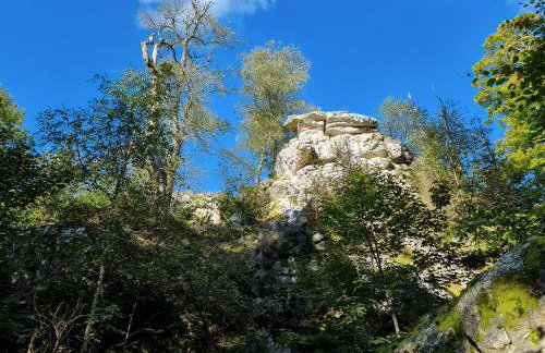 Rustikale Wanderhütte am Angelteich - Foto 25