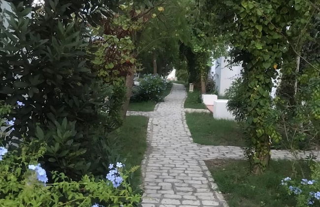 Villa Noria - Foto 15