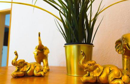 Duce Apartment Mendula - Foto 14