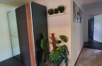 Fewo Rehblick im Wander und Mountainbike Paradies Odenwald - Photo 35