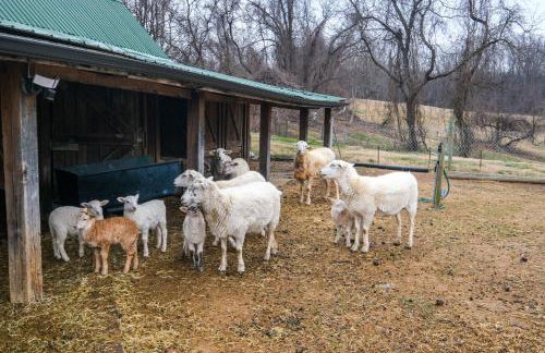 Nature Getaway with On-Site Trails, 17 Mi to DC! - Foto 41