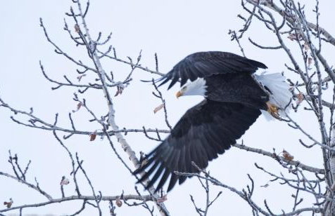 Serene Four Bedroom Lakefront Home - Foto 44