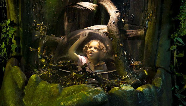 ¡Cuántos insectos!