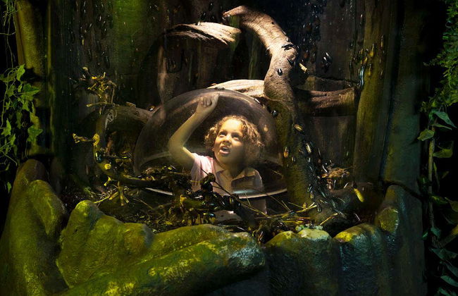 Entrada al Sea Life London - Foto 5