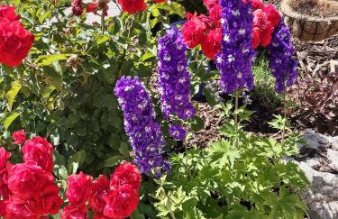 Farmington Gem 6BR Hot Cold Tub Sleeps 15 - Foto 63