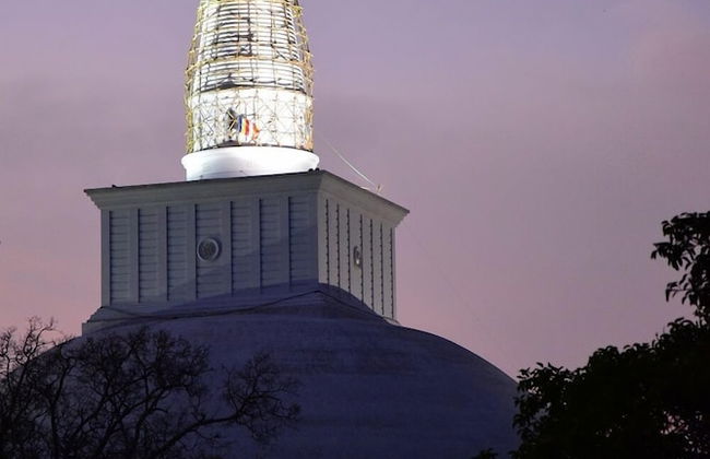 Wilpattu Tree House Hotel - Foto 66