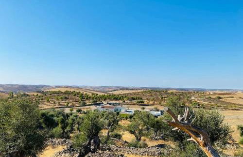 Casa na horta, planície alentejana - Foto 16