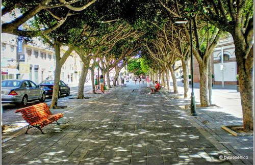 Plaza de toros / Centro - Foto 10
