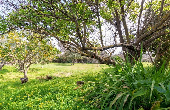 Welcomely - Villa Cornus - Foto 23