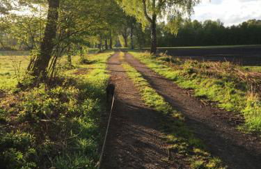 Bauernhofurlaub bei Familie Bokeloh - Foto 7