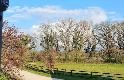 Self Catering Apartment, Jurassic Coast/Dorset - Foto 12