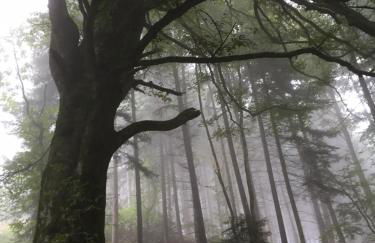 Les Perruchons ancienne grange rénovée avec soin - Foto 65