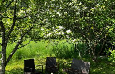 CAN appart spacieux avec grand jardin et terrasse 1 à 8 pers - Foto 20