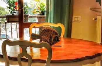 Rosablu vacanza tra mare e Parco di Portofino - Foto 5