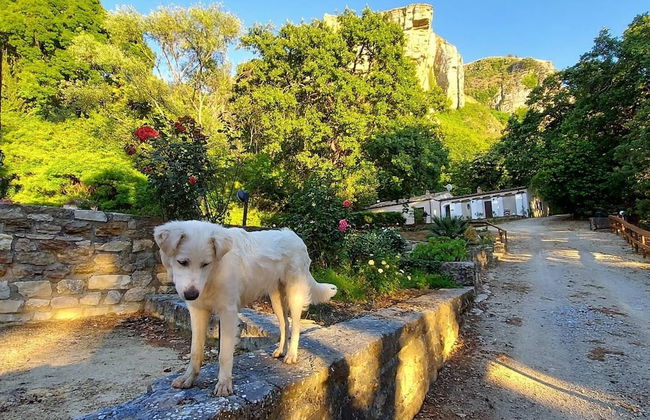 Chiosi Country Club - Foto 38