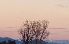 Pátio da Eira, Country House - Foto 38