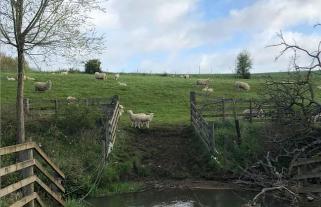 Charming 3-bed Cottage Near Chipping Norton - Foto 9