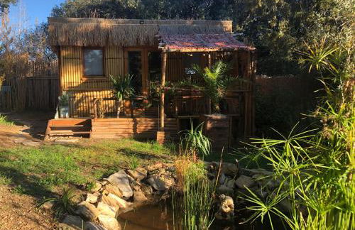 Cabane bambou - Photo 15