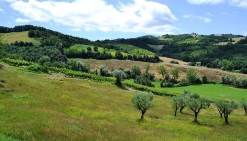 Agriturismo Marano - Photo 5, Garden view