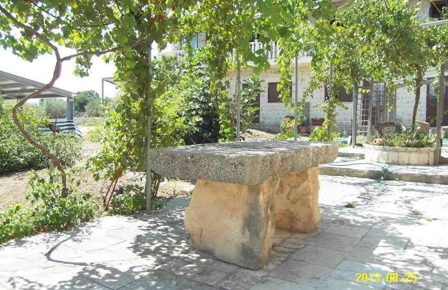 Le due Palme - Il Paradiso di Adamo - Photo 36