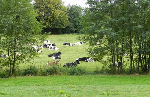 Gîte La Grenouillère - Foto 78