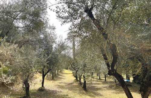 Agriturismo, Casa Borgo - Foto 60