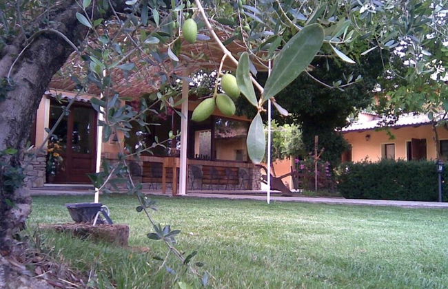 Agriturismo le Spighe - Fattoria Bertaccini - Foto 68