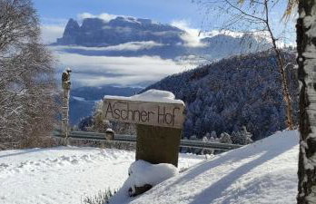 Aschnerhof Holzherz - Photo 16