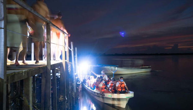 Night Tour of the Manialtepec Lagoon - Foto 3