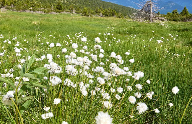 Horní Mísečky - Foto 56