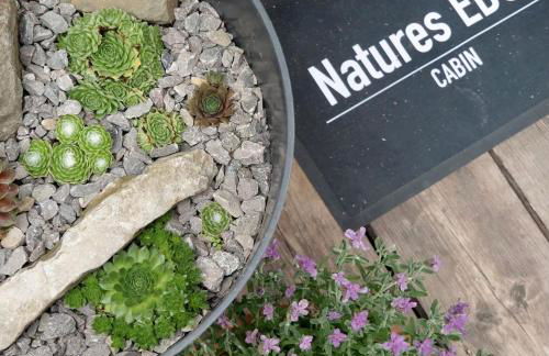 Natures Edge Cabin - Photo 16