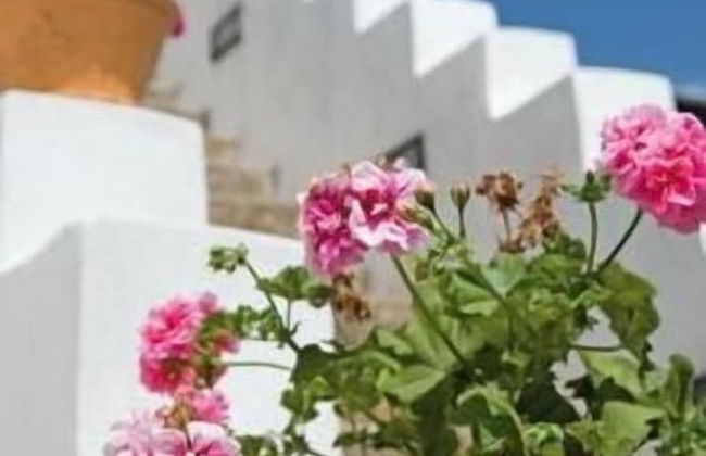 Tenuta Badessa - Photo 33