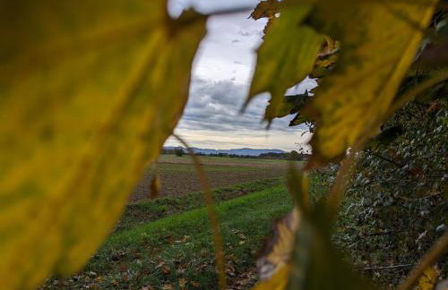 Badischer Neubau-Ruhe-Kunst-Natur - Foto 18