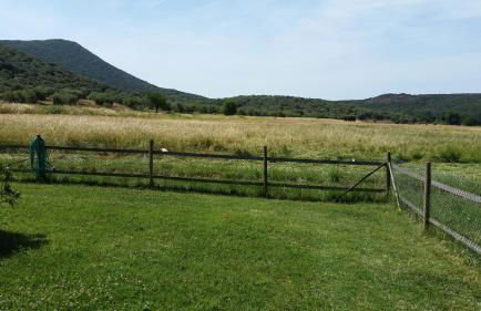 Bio Agriturismo Le Giunchiglie - Foto 7