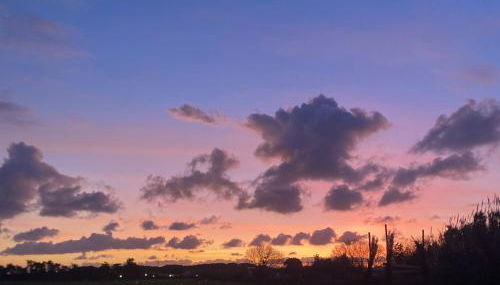 Podere Centoquattro - Il Blu - Appartamento tra mare e campagna a Vada - Foto 2, Garden