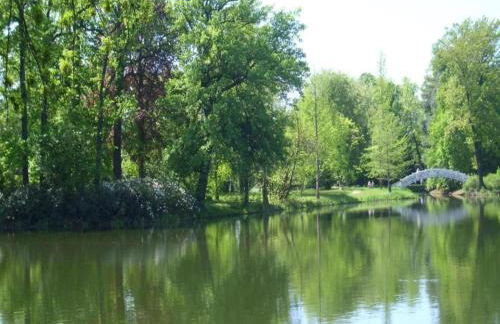 Terrace Apartment Saxony - Foto 41