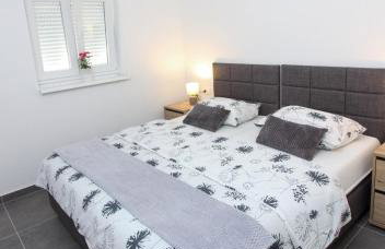 Fly in Apartment - Photo 12