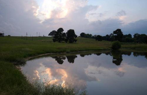 The Clover Club Yellow Rose Canyon - Foto 13