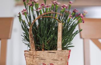 Landhaus Auf der Höh - Foto 46