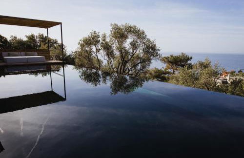 Five Olive Dream Trip - Photo 35