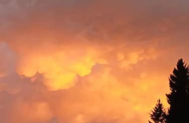 Le Chalet des Forêts Enchantées - Foto 24