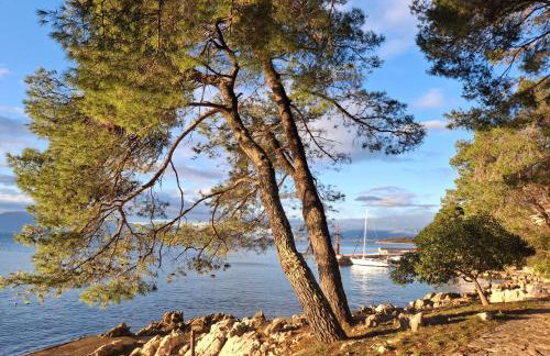 APARTMAN IVONA U PRIZEMLJU - Foto 32